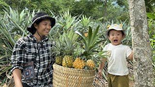 Life of a 19 year old single mother - Picking pineapples to sell and bathing her children
