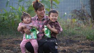 Dig up ginger leaves to sell, pick up kids on weekends, burn straw and sow vegetable seeds