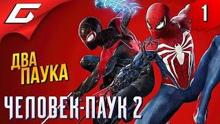 ИГРА ГОДА: Новый Паучок  Spider Man 2 / Человек Паук 2 ◉ Прохождение 1