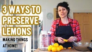 3 Ways To Preserve Lemons || Hanging out at Home!