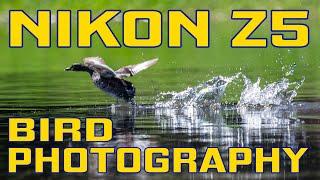 Nikon Z5 Review of Bird Photography