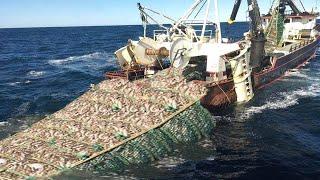 Amazing Big Catching on The Sea With Modern Big Boat - Amazing Giant Fishing Net I Never Seen