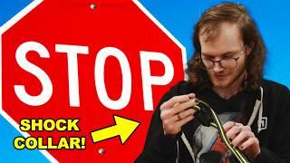 Ethan Learns Traffic Signs (w/ SHOCK COLLAR) | Unprofessional Videos