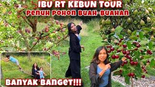 IBU RT KEBUN TOUR PENUH POHON BUAH-BUAHAN, BANYAK BANGET!