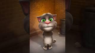 Talking Tom et moi avons créé une incroyable vidéo ensemb maintenant : https://o7n.co/Tom.