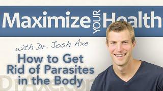 How to Get Rid of Parasites in the Body Naturally