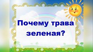 Почему трава зеленая?