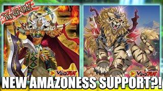 GOOD SUPPORT? NEW AMAZONESS SUPPORT! Yu-Gi-Oh!