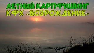 Летний карпфишинг в КФХ "Возрождение"