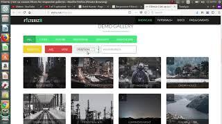 Responsive Filterable Photo Gallery Plugin – jquery.filterizr.js