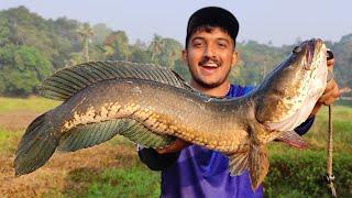 ഇതേപോലെ ആരെങ്കിലും വരാല് പിടിച്ചിട്ടുണ്ടോ... | Snakehead Fishing Videos | Viral Fishing Videos |