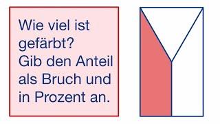 Wie viel ist gefärbt? Gib den Anteil als Bruch und in Prozent an.