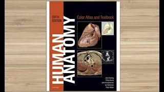 CBM084 Human Anatomy, Color Atlas and Textbook 6th Edition 2017 [PDF]