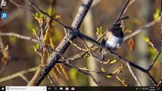 How to Turn On / Off Account Protection Notifications in Windows 10 (Tutorial)