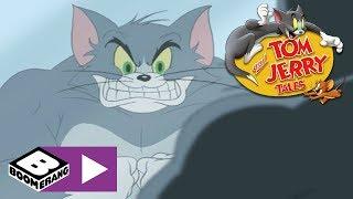 Tom and Jerry Tales | Beefcake Tom | Boomerang UK 