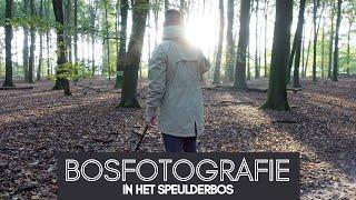 Bosfotografie - Dit heb ik geleerd bij het fotograferen in het Speulderbos