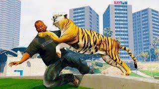 Playing as Tiger in Grand Theft Auto 5 Gameplay