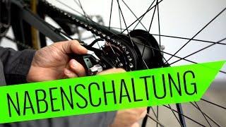 Hinterrad Aus/Einbau Nabenschaltung - Fahrrad.org