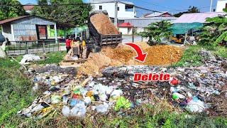 Amazing New PROJECT!! Pour Soil to Delete pond Processing By Bulldozer & 5 TON Trucks Loading