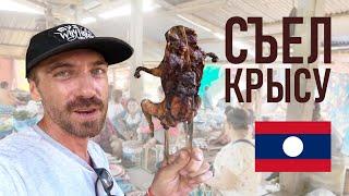 СЪЕЛ КРЫСУ!! ДА НЕПРОСТУЮ! ЧТО ЕДЯТ В ЛАОСЕ?? (Что едят лаосцы. Ужасы лаосского рынка)