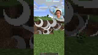 Minecraft TNT VS 1000 Mini TNT (Sigma Boy)