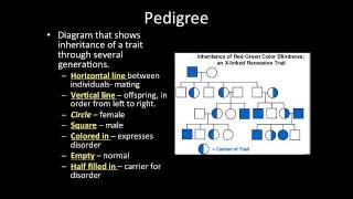 Video Lecture: 9-3 Genetic Disorder and Pedigrees