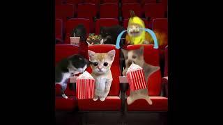 Cats went to see the movie   #catmemes #funny #happycat #shorts