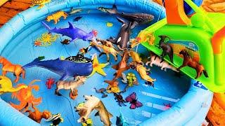 NAMES OF SEA ANIMALS, DINOSAURS, AND OTHER ANIMALS FOR TODDLERS