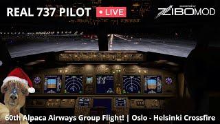 60th Alpaca Airways Group Flight (5 Year Anniversary!) | Oslo - Helsinki | ZIBO MOD 737 | XP12