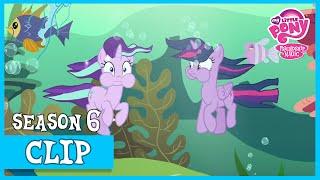 Starlight's Magic Lessons with Twilight (Every Little Thing She Does) | MLP: FiM [HD]