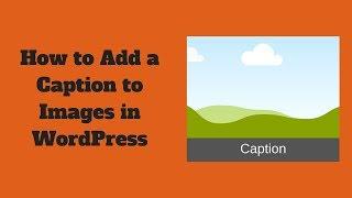 How to Add a Caption to Images in WordPress