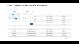 Angular 13 Datatable with Date Range Filter Working Demo