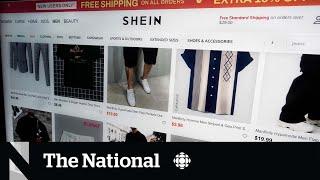 Shein's rapid growth raises environmental concerns