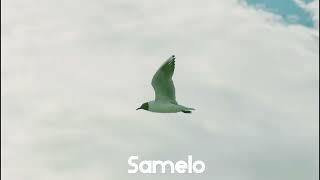 DNDM - Let's Fly (Samelo Remix)