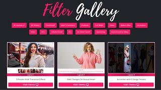 How to create a Filter Gallery on the website? Filter Gallery Plugin | Portfolio Filter