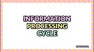 Information Processing Cycle