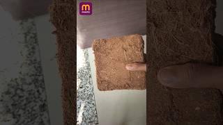 Cocopeat for plants 1kg meesho #shopping #shortvideo