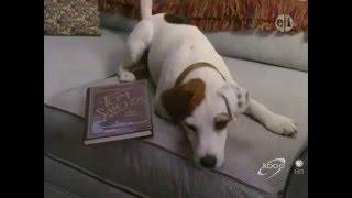 Wishbone | A Tail in Twain, Part 1 | S01E01