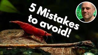 ️ 5 Shrimp Keeping Mistakes to Avoid! THESE MISTAKES ARE MOST OFTEN MADE BY NEW SHRIMP KEEPERS