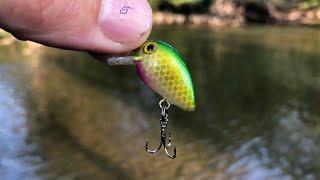 Creek Fishing Adventure with a MICRO CRANKBAIT