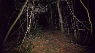 4K・Walking at night in Aokigahara forest (no pranks, not scary. ASMR?)