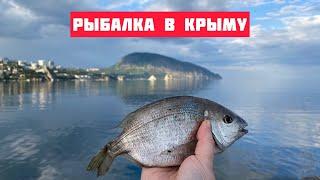 Рыбалка в Крыму на море с берега, Гурзуф, май 2022