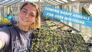 Sowing Hardy Annuals for Over-Wintering (and giving the greenhouse a good tidy up!) Flower Farming