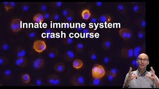 The innate immune system in fifteen minutes