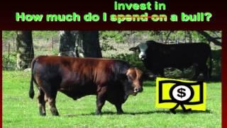 Lecture 9 Part 1- Genetic Selection in Beef Cattle