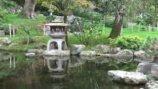 London Holland Park Japanese Garden Slow TV