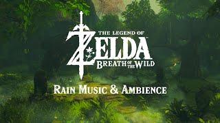 Breath of the Wild Rain Music + Ambience