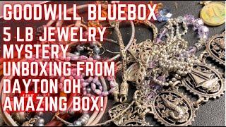 Goodwill BlueBox 5lb Jewelry Bag Unboxing Dayton, OH WOW!! THIS BOX WAS GREAT!!