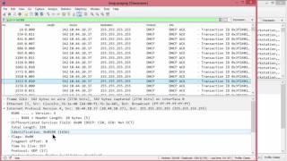 Investigating Network Loops