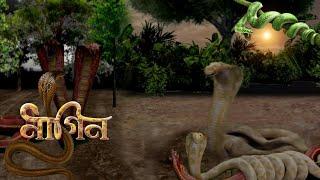 Nagin|Snake Animation Video|Two Snake Fighting|3D Snake|Animation Video#snake #nagin #animation